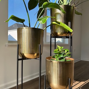 Può includere: Un set di tre fioriere cilindriche color oro con scanalature verticali, ciascuna sostenuta da un sottile supporto in metallo nero di diverse altezze. Le fioriere contengono piante verdi, con il supporto più alto posizionato sul retro.