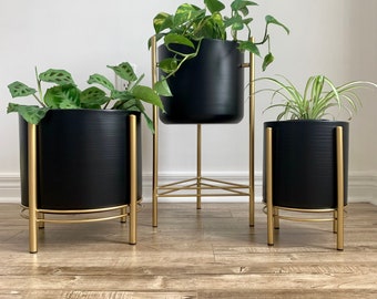 Black Metal Planter Pots on Gold Plant Stands