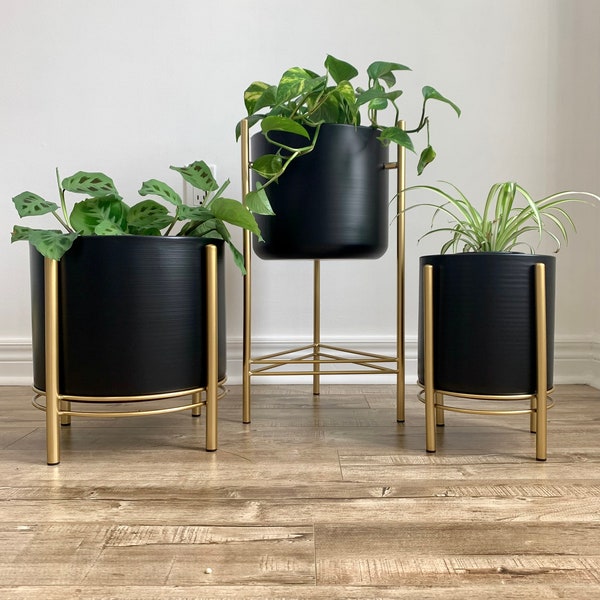 Black Metal Planter Pots on Gold Plant Stands