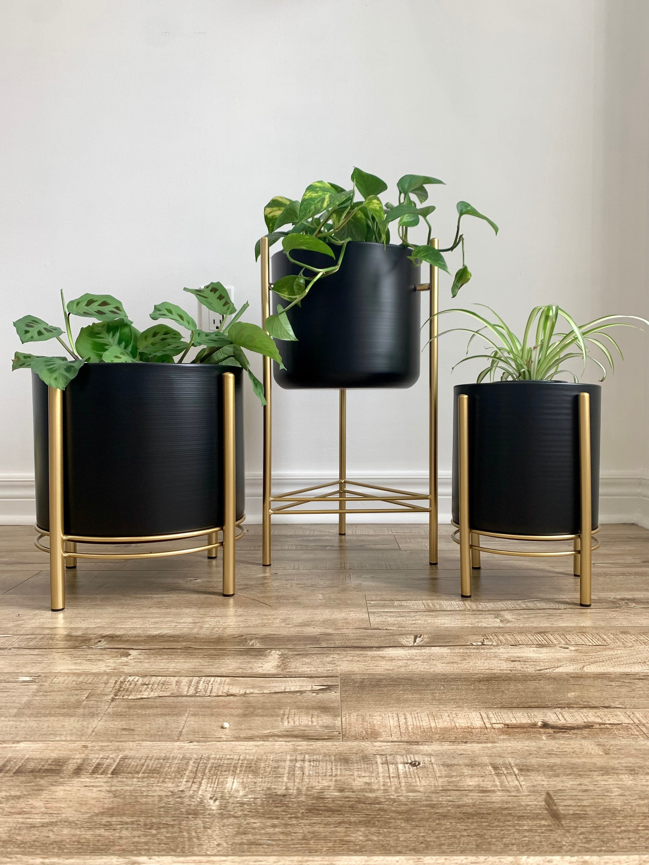 Black Metal Planter Pots on Gold Plant Stands Etsy Canada