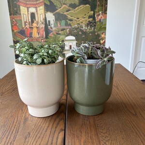 May include: Two cylindrical ceramic planters with pedestal bases. The left planter is a speckled off-white colour containing a green and white fittonia plant. The right planter is a solid olive green colour containing a trailing plant with purple and green leaves.