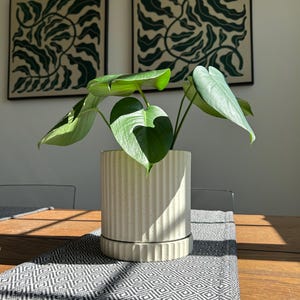 May include: A houseplant with large green leaves in an off-white ceramic pot with vertical ridges. The pot sits on a wooden table with a patterned runner. Two framed botanical prints are on the wall.