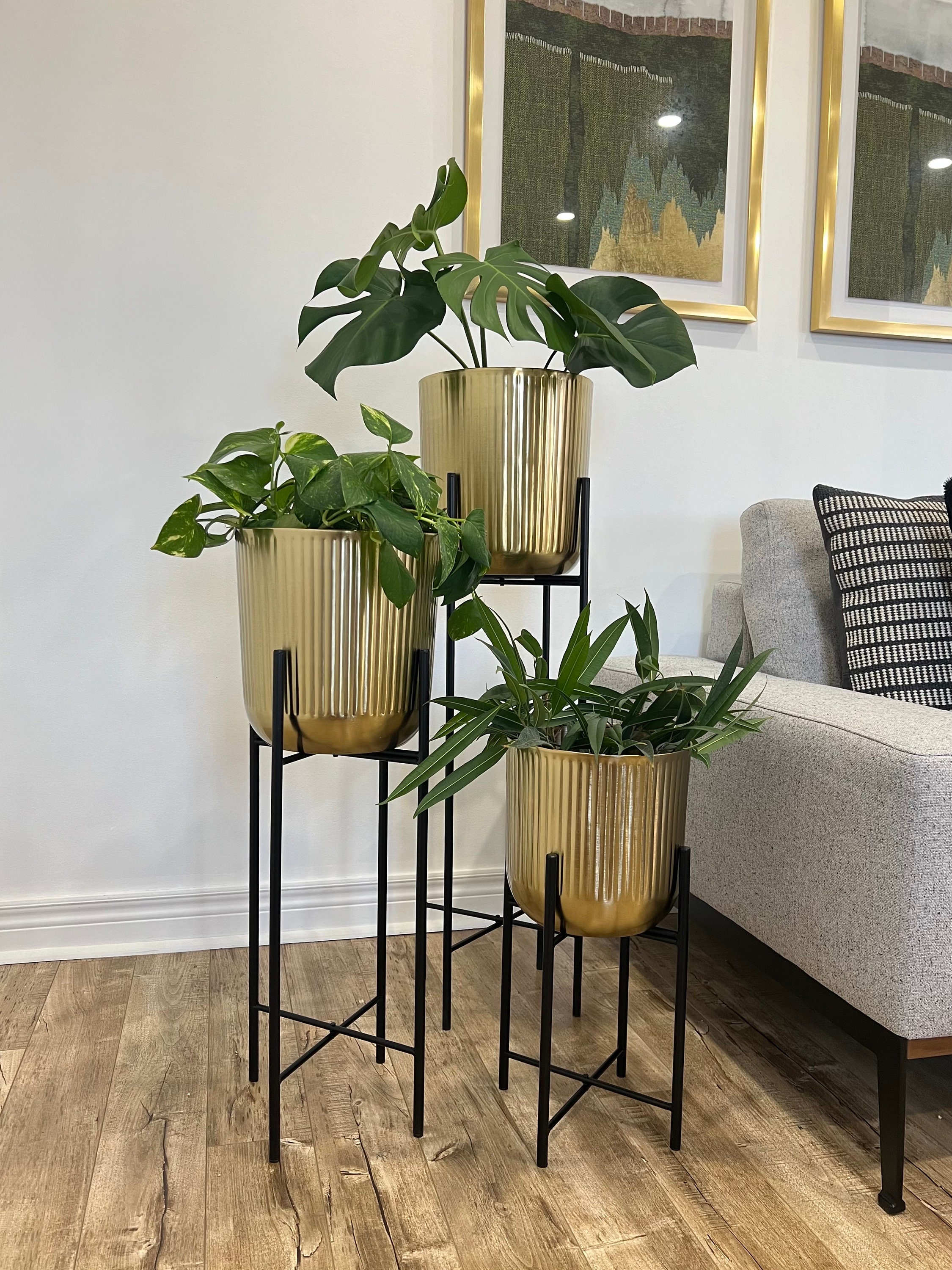 Classic Lined Gold Metal Planters on Black Legs