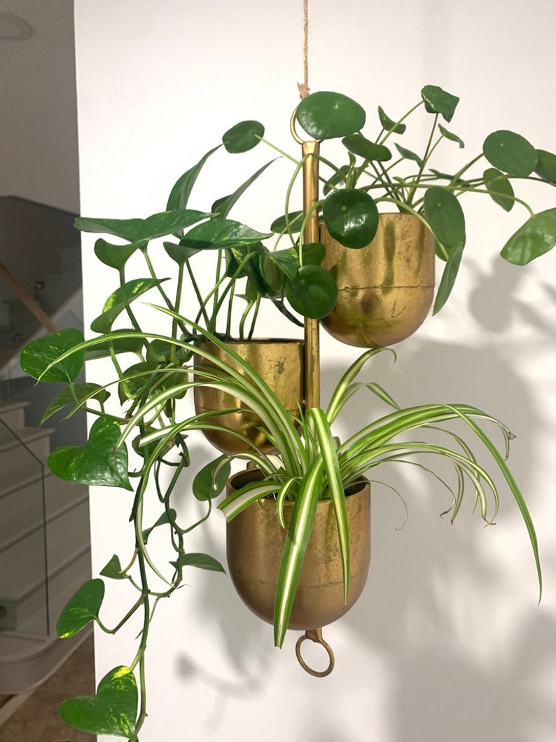 Brushed Gold 3-Pot Hanging Planter: Rustic Metal Indoor/Outdoor Decor/Christmas gifts