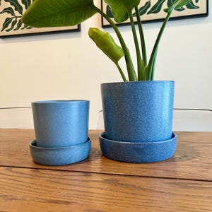 May include: Two blue speckled ceramic plant pots with matching saucers on a wooden table. The larger pot contains a green plant with large leaves. The pots are different sizes, with a smaller pot to the left of the larger one.