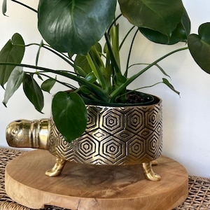 9.75”  Brass Coated Turtle Footed Planter Pot/home decor/cactus planter, indoor plant decor/gift idea/wedding decor/home decor/plant decor