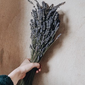 XL Fragrant Lavender Bunch/lavender/wedding decoration/indoor/outdoor/bouqet decor/gift decoration/party decoration