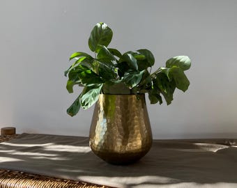 落ち着いたゴールドのハンマー仕上げメタル製植木鉢セット - イリデ
