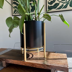 Maceta de metal negro con soporte dorado: decoración moderna de mediados de siglo.