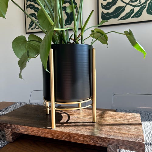 Black Metal Planter Pot With Gold Stand: Mid-century Modern Decor