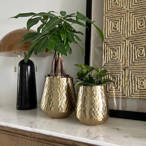 Muted Gold Hammered Metal Plant Pot set /Dstudiohome metallic Collection/set of 2