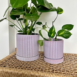 May include: Two potted plants in pink ceramic pots with a ribbed design. The pots are sitting on a woven wicker bench.