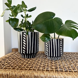 Op de afbeelding: Twee zwart-wit gestreepte keramische potten met groene planten. De grotere pot heeft een bladplant en de kleinere pot heeft een monstera-plant. De potten staan op een geweven rieten oppervlak.