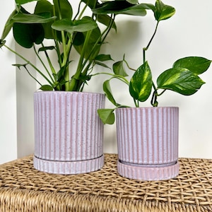 May include: Two pink ceramic plant pots with a ribbed design. The larger pot contains a leafy green plant, while the smaller pot holds a plant with green and yellow leaves. Both pots are sitting on a woven wicker surface.