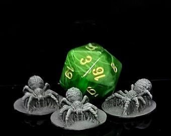 Three Tiny Spiders - 4K Ultra HD Handpainted Miniature / Master of Miniatures UK / Primed by Hand / Perfect for Dungeons and Dragons ( RPG )