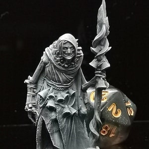 Ice hag / 4k ultra hd handpainted miniature / master of miniatures uk / perfect for rpgs (dungeons and dragons) / extreme detail