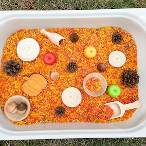 Fall Sensory Loose Parts - Fall Invitation to Play Sensory Bin