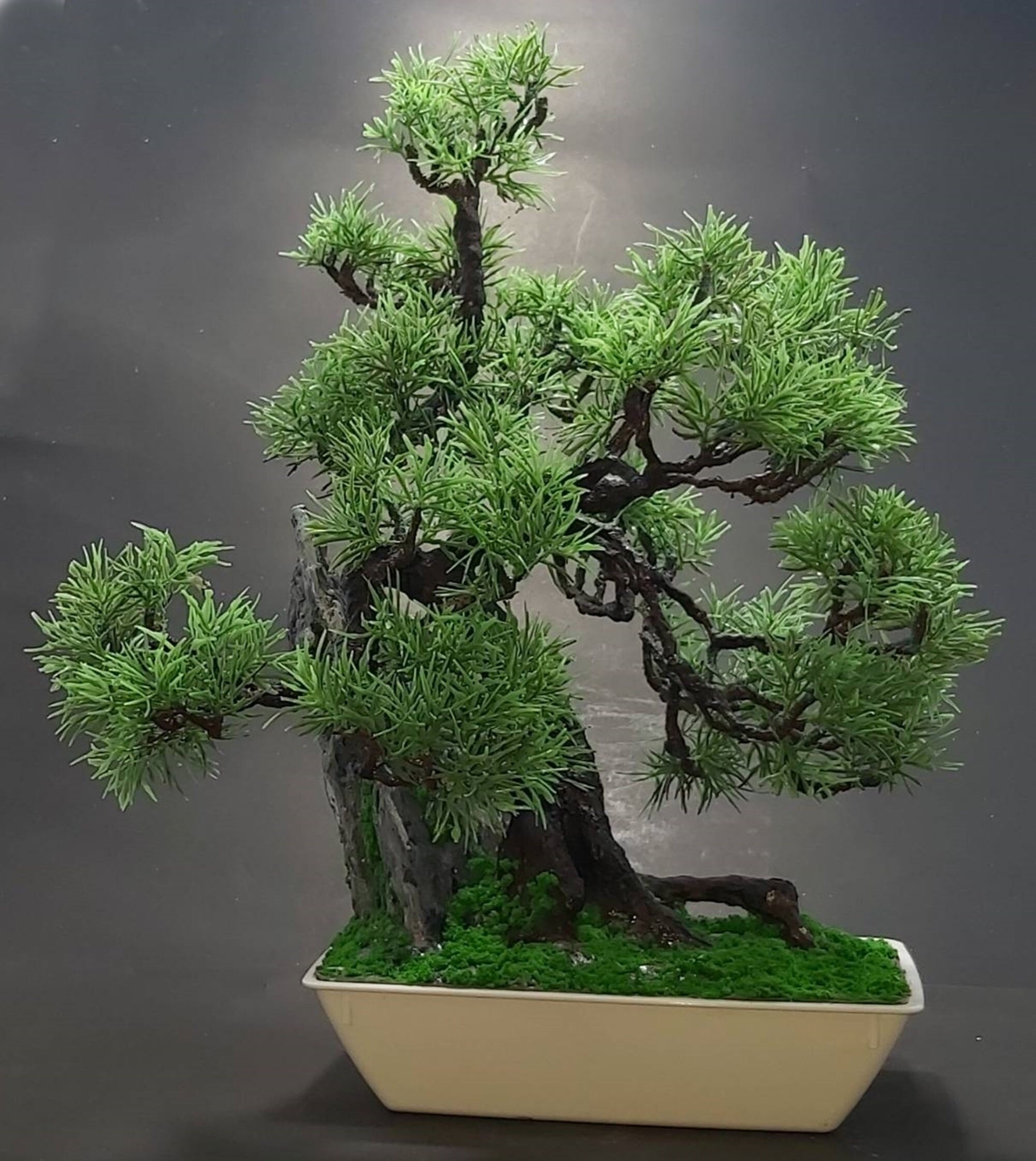 Unique 11 Artificial Bonsai Tree with driftwood on pot Etsy