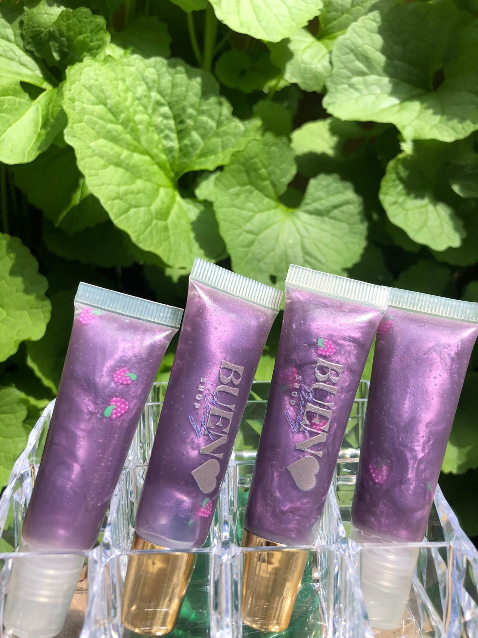 Natural Lip Gloss Aloe Vera oil Naturals Oils Moisturize Etsy