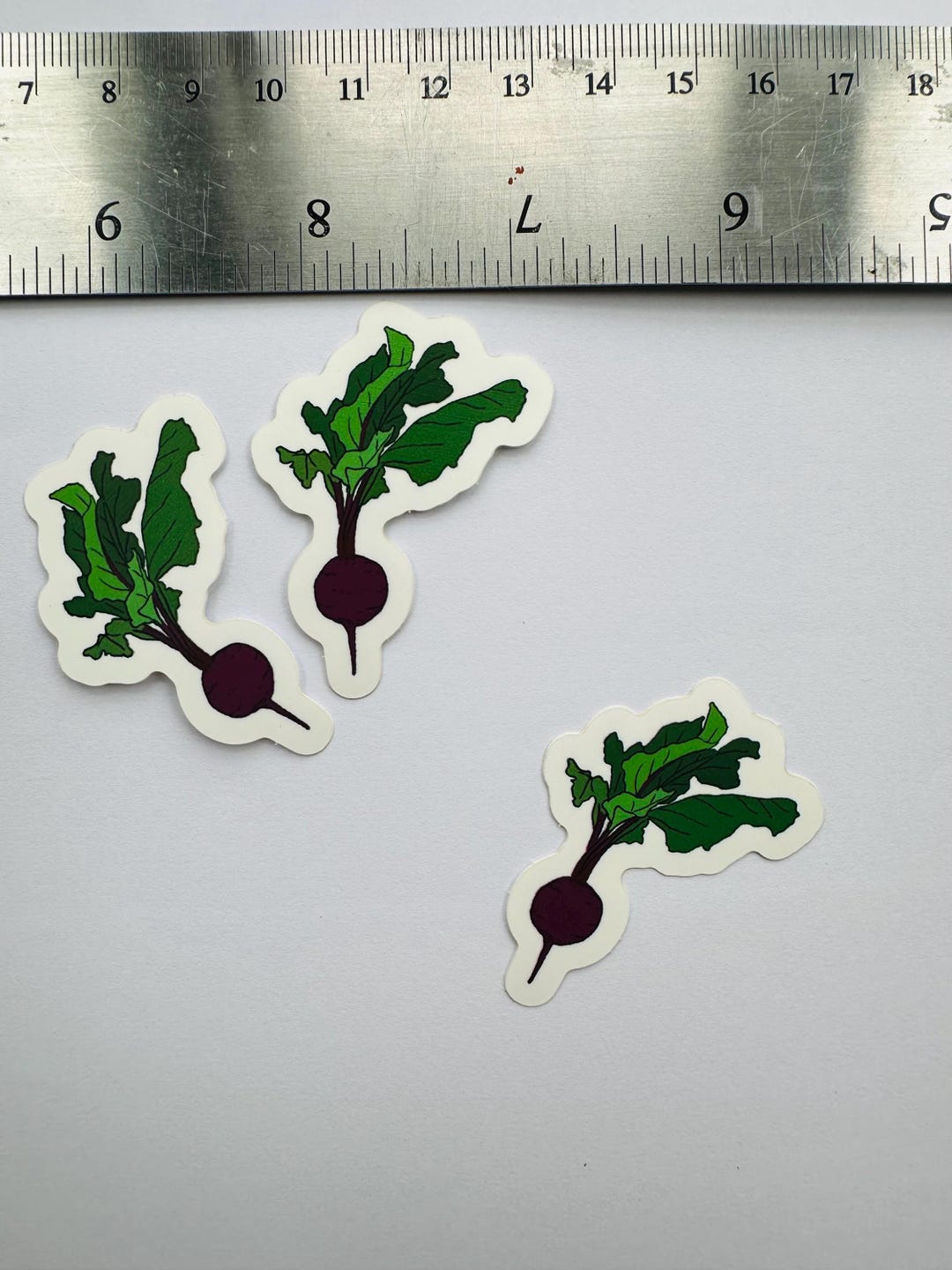 Small Beetroot Sticker - Etsy