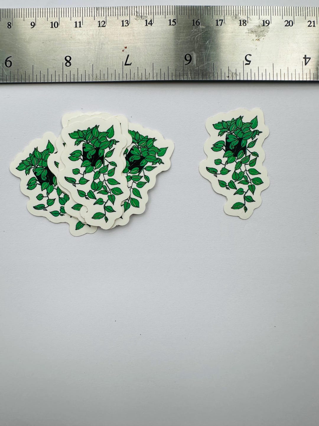 Pathos Car Sticker Small Pathos Plant Sticker - Etsy