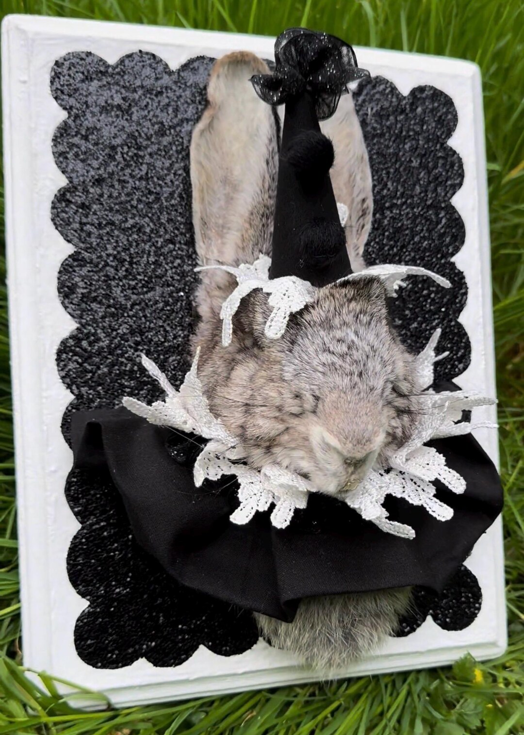 Mummified Rabbit Jester Mummified Rabbit Head - Etsy