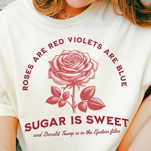 Release the Epstein Files Floral Tee Truth Seeker Funny Political Shirt Snarky Shirts Dems Protest T-Shirt FDT Gift for Democrat Liberal