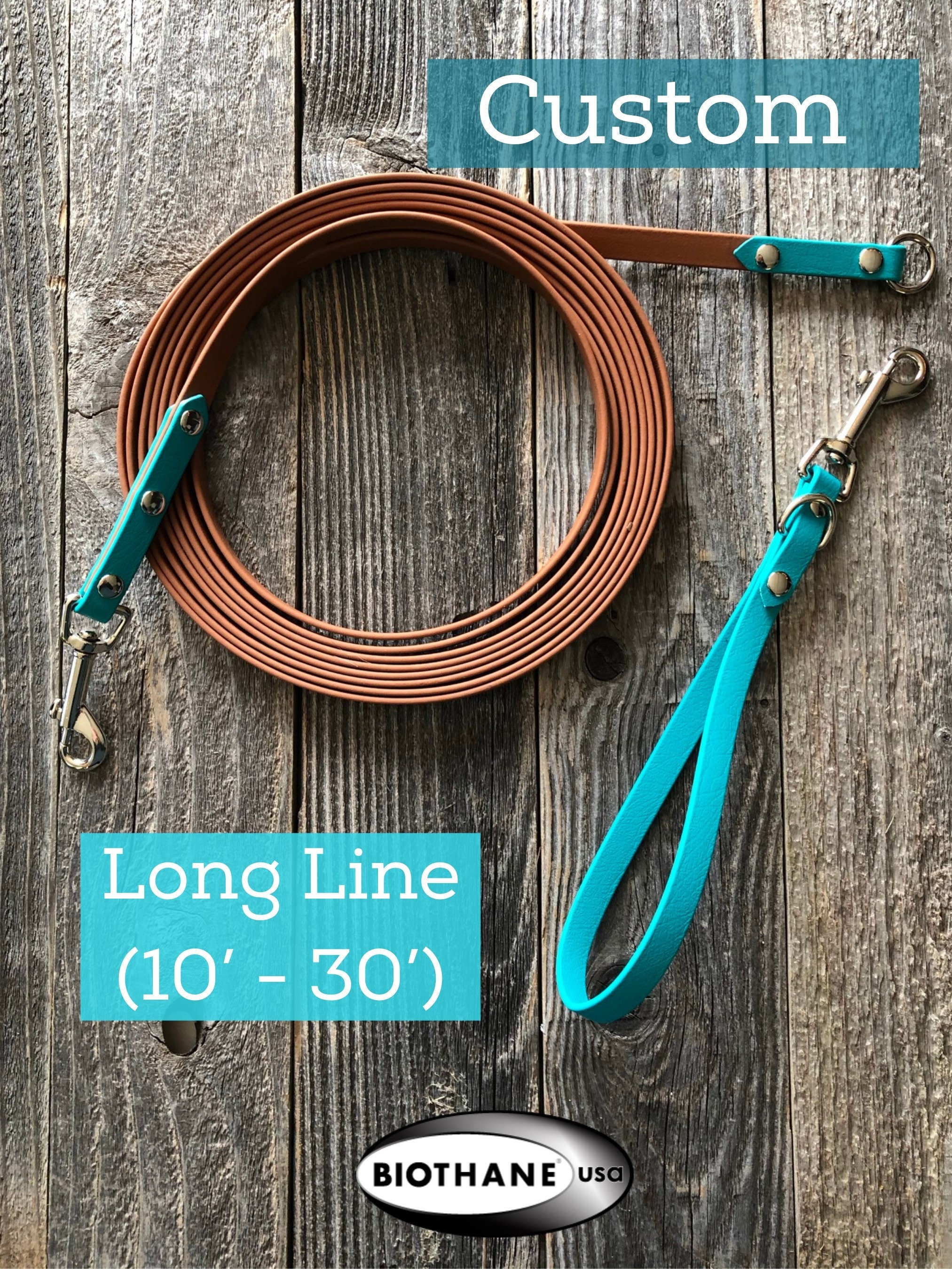 Biothane 3/8 Long Line Leash 