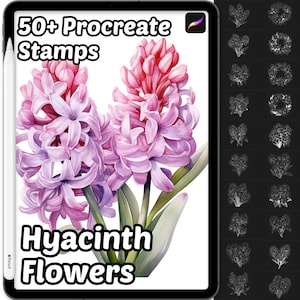 Procreate Hyacinth Flower Brushes | 50+ Procreate Hyacinth Flower Stamps | Nature Procreate Brushes | Floral Procreate | Botanical Procreate