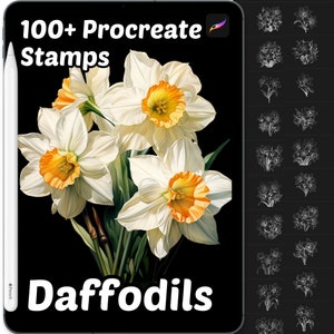 Daffodils Floral Procreate Stamps | 100+ Procreate Floral Stamps | Procreate Brushes | Flower Procreate Brushes | Botanical Procreate Stamps