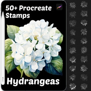 Hydrangeas Floral Procreate Stamps | 50+ Procreate Floral Stamps | Procreate Brushes | Flower Procreate Brushes | Botanical Procreate Stamps