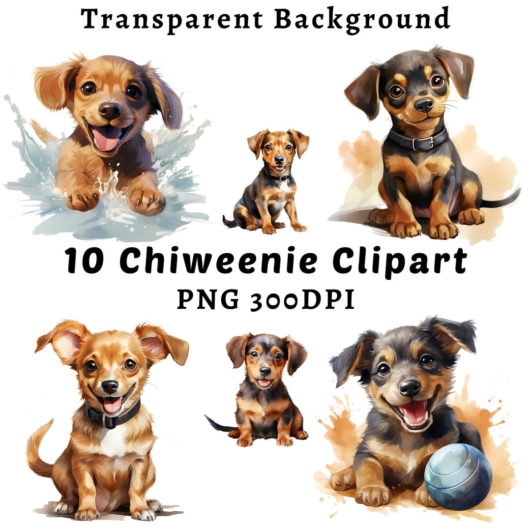 Chiweenie jewelry cheap