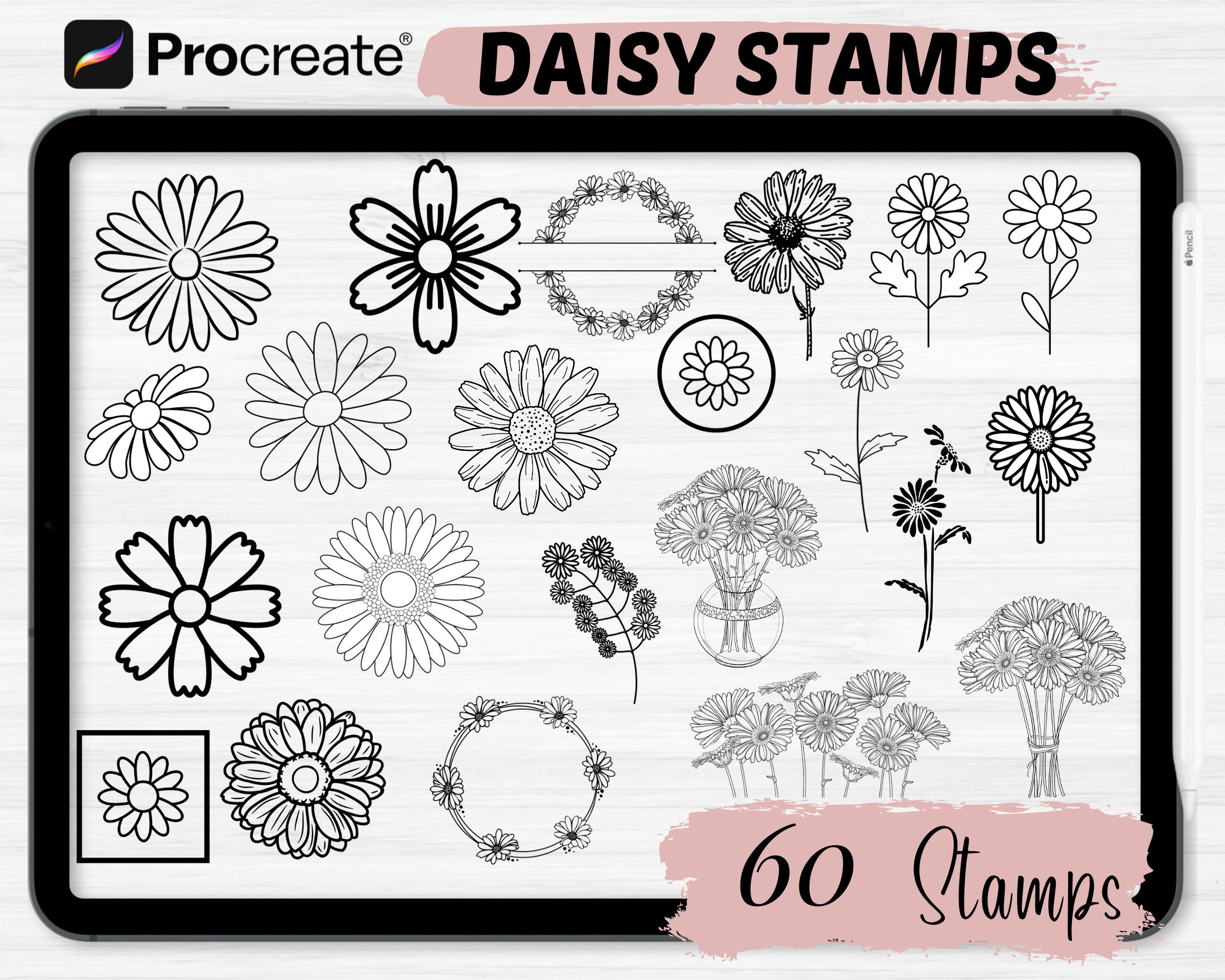 Daisy Procreate Stamps |60 Flower Procreate Stamps | Botanical ...
