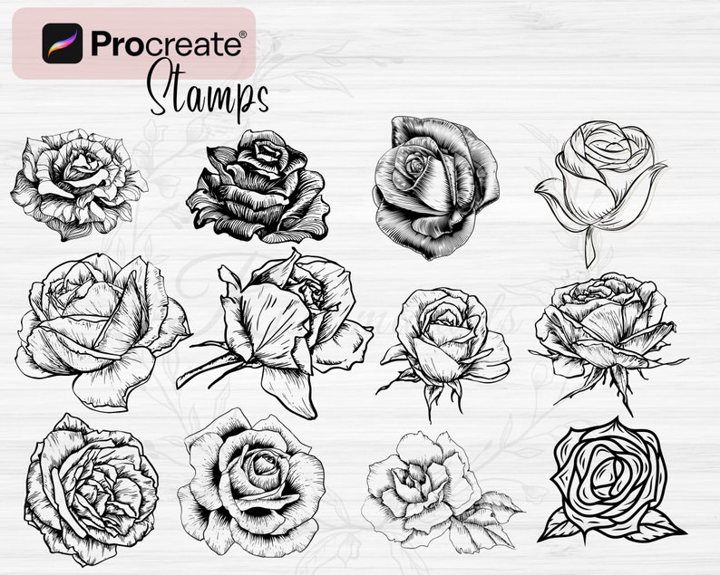 Procreate Rose Flower Stamps | 80 Rose Procreate Stamps |flower Stamps ...