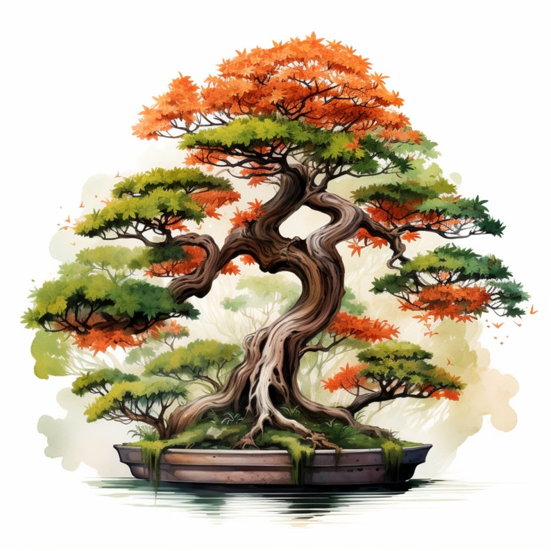 Bonsai Plant Procreate Brushes | 100+ Procreate Bonsai Plant Stamps ...