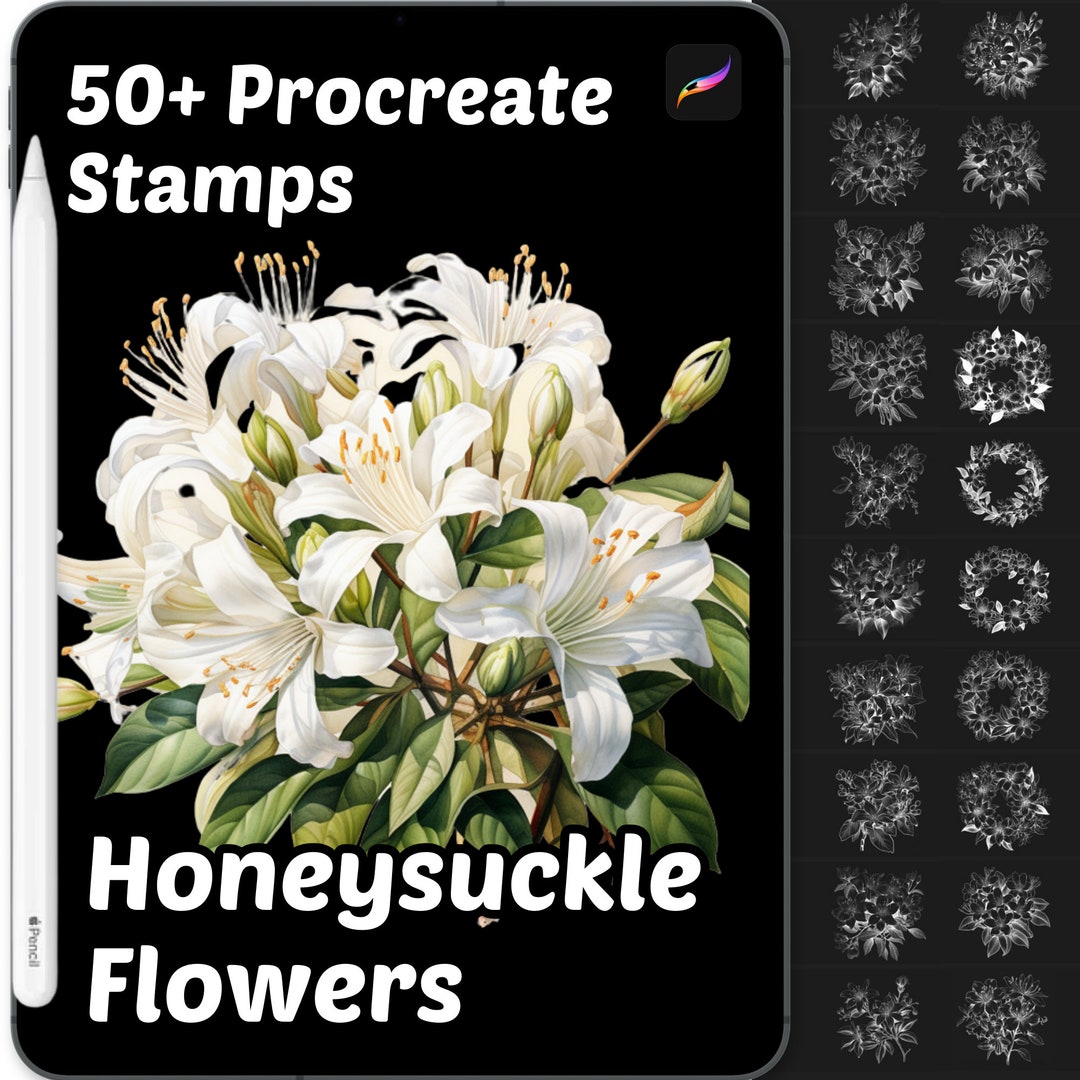 Honeysuckle Flower Procreate Stamps | 50+ Procreate Floral Stamps ...