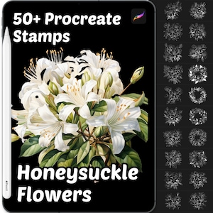 Honeysuckle Flower Procreate Stamps | 50+ Procreate Floral Stamps | Botanical Procreate Stamps | Floral Procreate brushes | Procreate Stamps