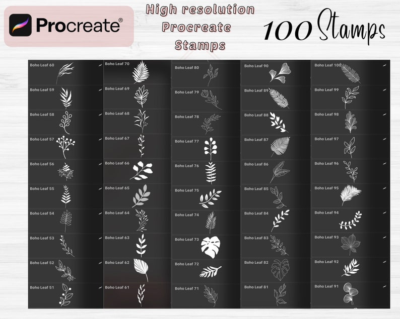 Boho Leaf Procreate Stamps | 100 Boho Abstract Doodle Procreate Brushes ...
