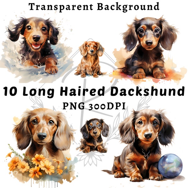 Long Haired Dachshund Dog Breed Clipart| 10 High-Quality PNG Watercolor Long Haired Dachshund  Dog Clipart | Sublimation design | 1