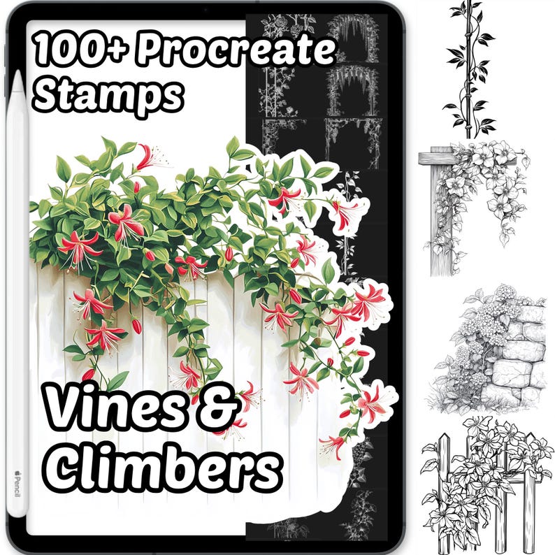 Vines & Climbers Plants Procreate Brushes | 100+ Procreate Plant Stamps ...