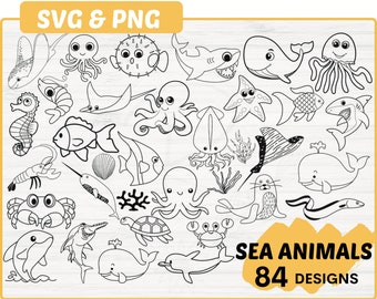 Sea animal Svg bundle file | 84 hand drawn ocean Animal Svg Bundle | Animal Svg cut files | Dolphin svg | Turtle Svg | Whale svg | Pearl Svg