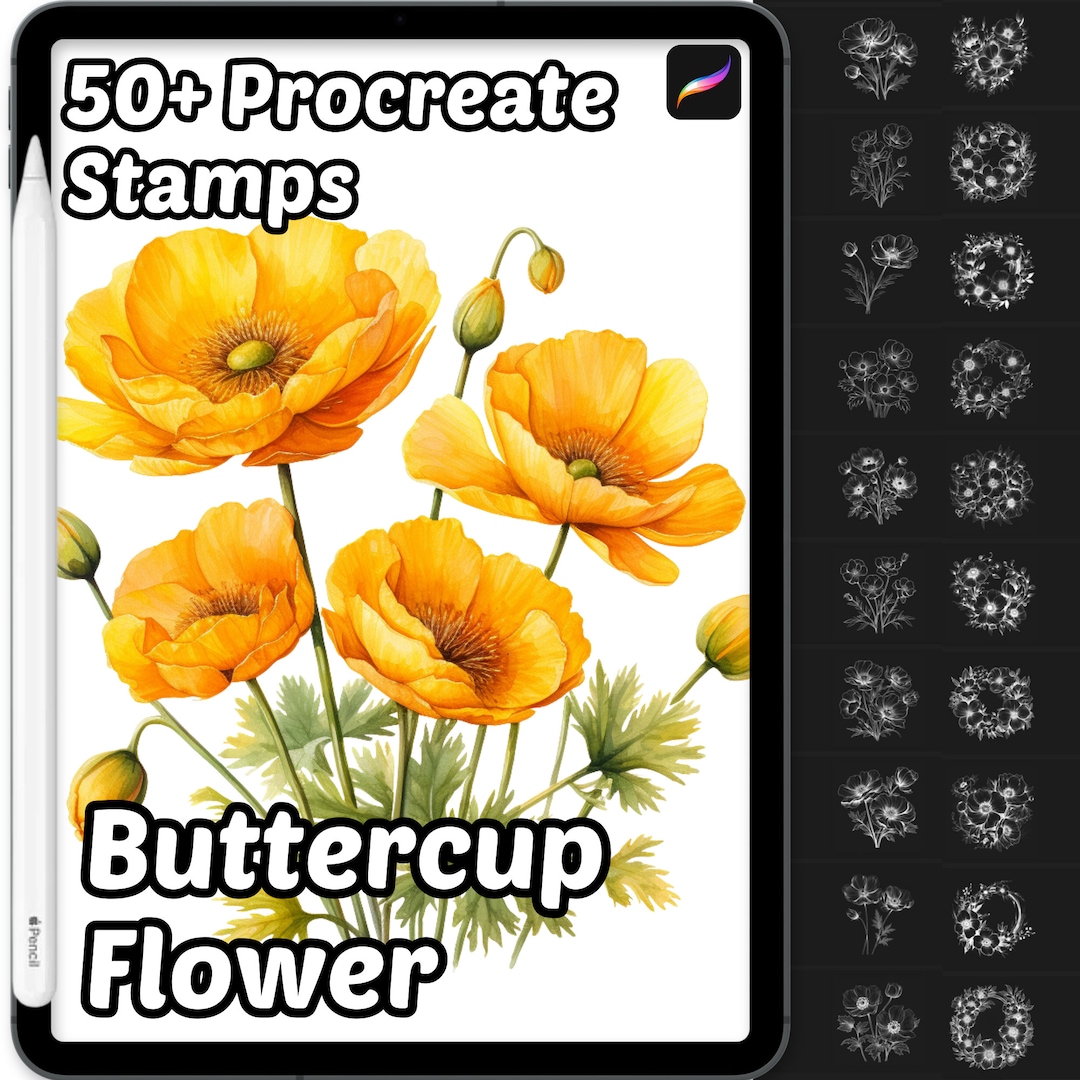 Buttercup Flower Procreate Brushes | 50+ Procreate Buttercup Flower ...