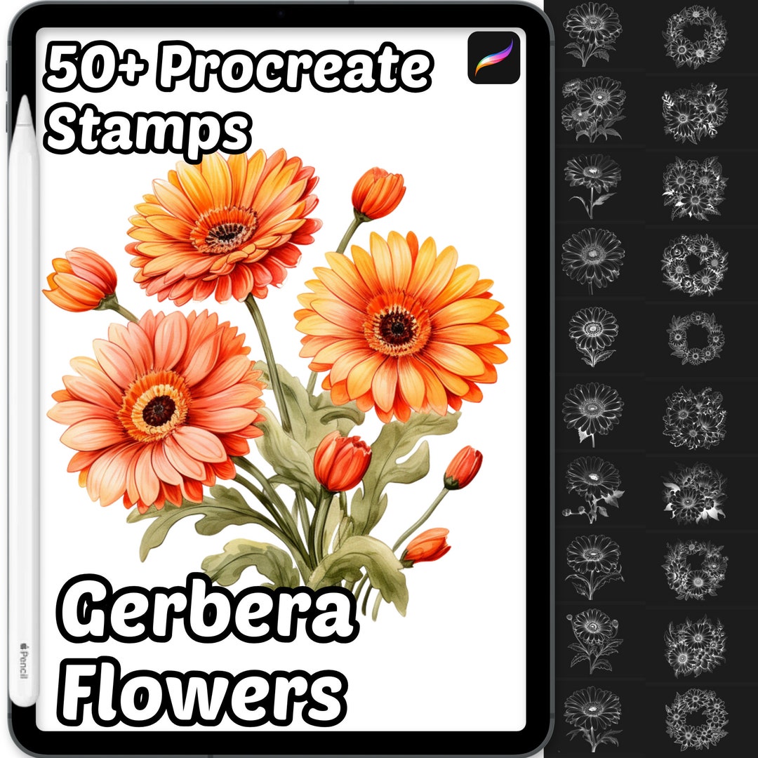 Gerbera Flower Procreate Brushes | 50+ Procreate Gerbera Flower Stamps ...