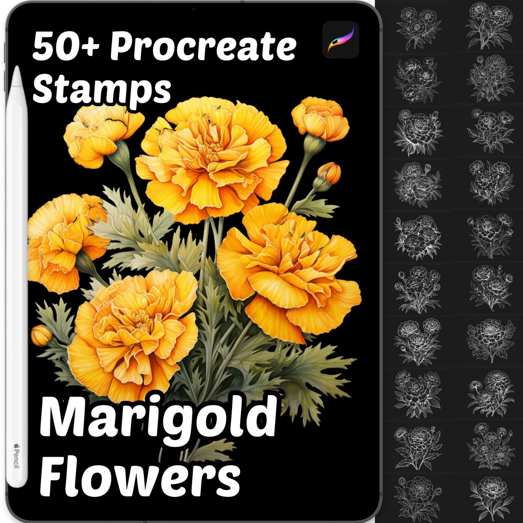 Marigold Flower Procreate Stamps | 50+ Procreate Floral Stamps ...