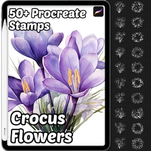 Crocus Flower Procreate Brushes | 50+ Procreate Crocus Flower Stamps | Nature Procreate Brushes | Floral Procreate | Botanical Procreate