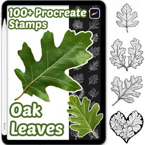 May include: A digital tablet shows oak leaf stamps for Procreate. The screen displays a large, detailed green oak leaf, with the text "100+ Procreate Stamps" and "Oak Leaves". Additional leaf illustrations are also visible.