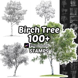 Könnte beinhalten: Eine digitale Sammlung von Birch Tree 100+ Procreate STAMPS mit verschiedenen schwarz-weißen Strichzeichnungen von Birken sowie einem einzelnen, realistischen, vollfarbigen Birkenbild mit grünen Blättern und einem weißen Stamm.