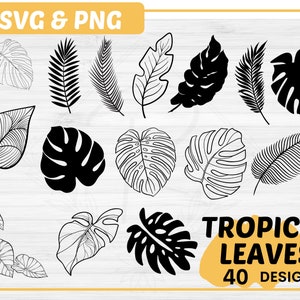 Tropical leaves svg bundle | 40 Tropical Palm leaf svg | Monstera leaf svg bundle | Boho leaves svg | Palm branch svg | jungle leaves svg