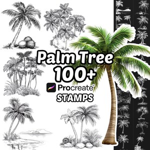 May include: A digital collection of over 100 palm tree stamps for Procreate, featuring various black and white line art illustrations of palm trees, coastal landscapes, and coconuts, alongside one full-color palm tree graphic and text.