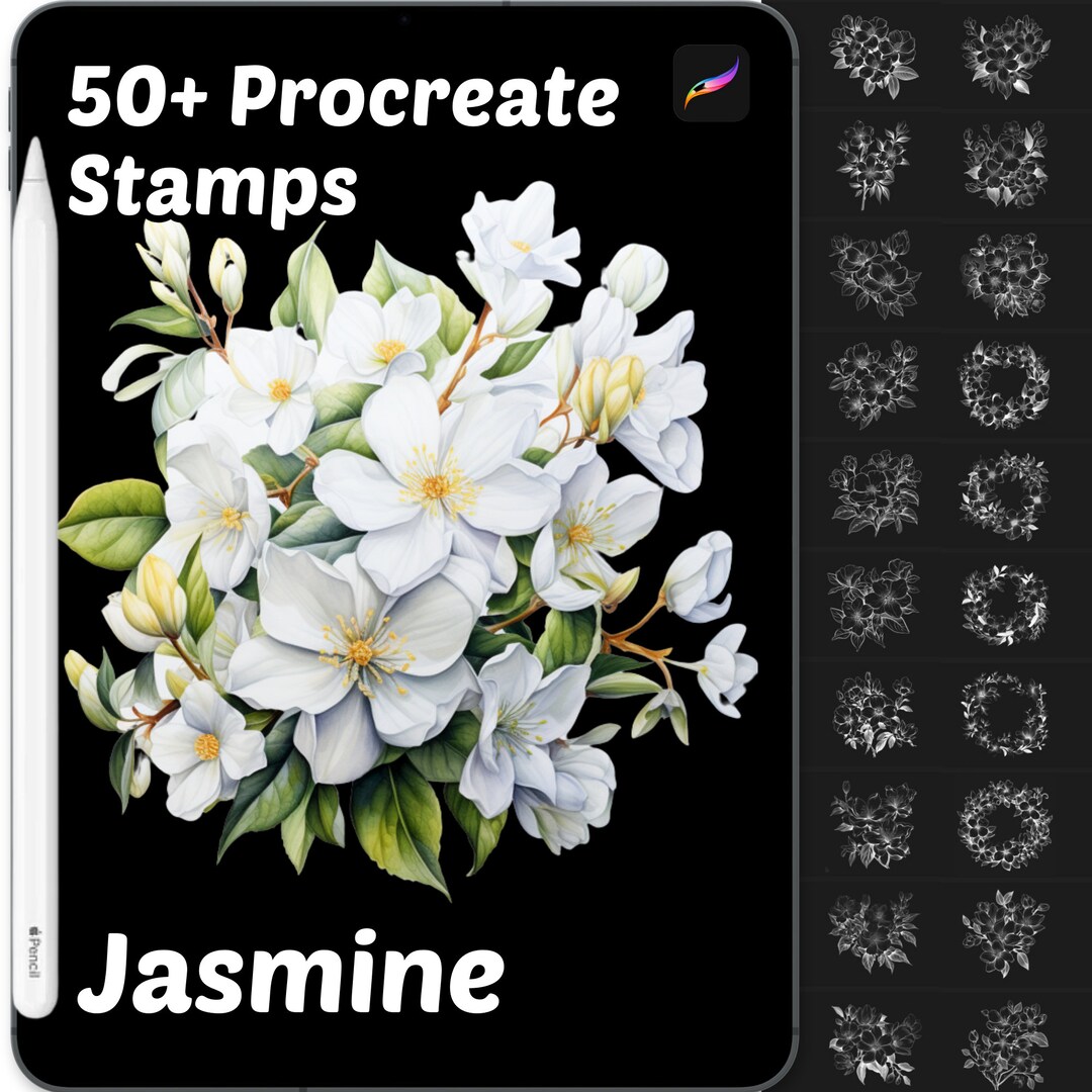 Jasmine Flower Procreate Stamps | 50+ Procreate Floral Stamps ...